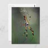 Banana Spider Briefkaart (Voorkant / Achterkant)