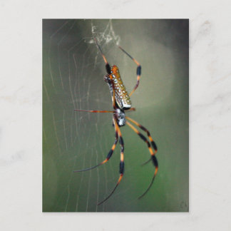 Banana Spider Briefkaart