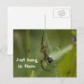 Banana Spider Web gewoon daar hangen Briefkaart (Voorkant / Achterkant)