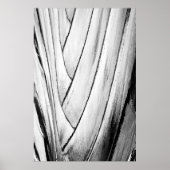 Banana Tree Bark Poster - Abstracte monochrome wan (Voorkant)