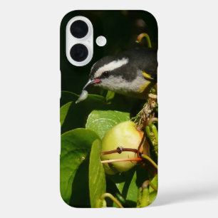 Bananaquit-vogel die tropische fotografie eet iPhone 16 hoesje