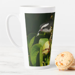 Bananaquit-vogel die tropische fotografie eet latte mok