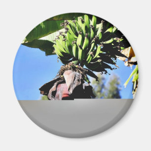 Bananas Fruit Magneet