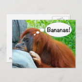 Bananen! Briefkaart (Voorkant / Achterkant)