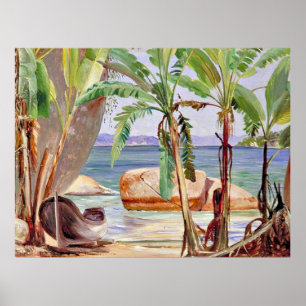 Bananen en Rocks in Paqueta, Brazilië, Poster