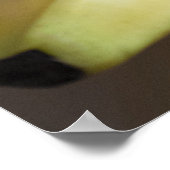 Bananen Poster (Hoek)