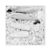 Bananen Rubberstempel (Afrduk)