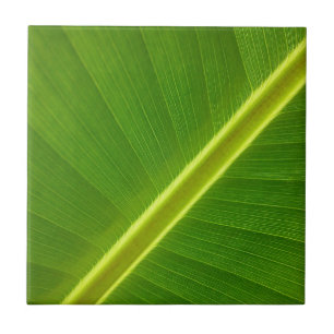 Bananenblad Tegeltje