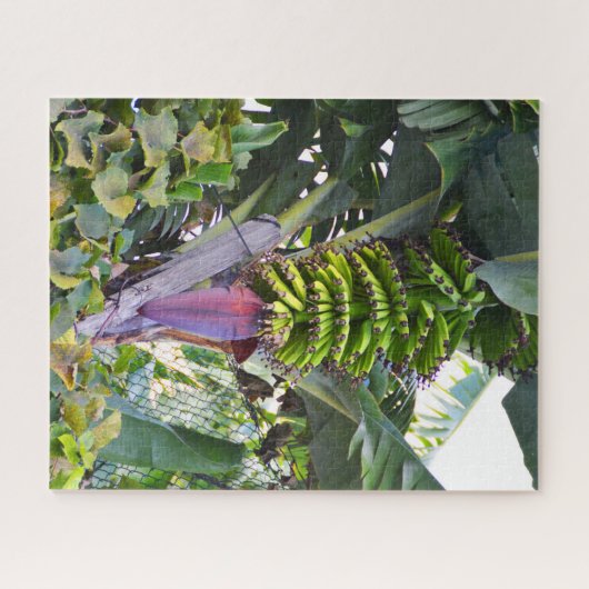 Bananenboom op Madeira Legpuzzel (Horizontaal)