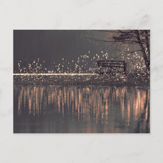Banc au bord du lac dans la carte postale de lumiè (Devant)