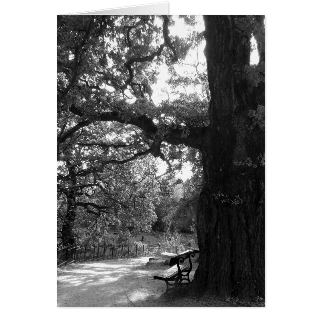 Banc de parc (Devant)