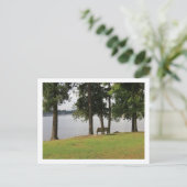 Banc de parc au lac Meridian Carte postale (Debout devant)