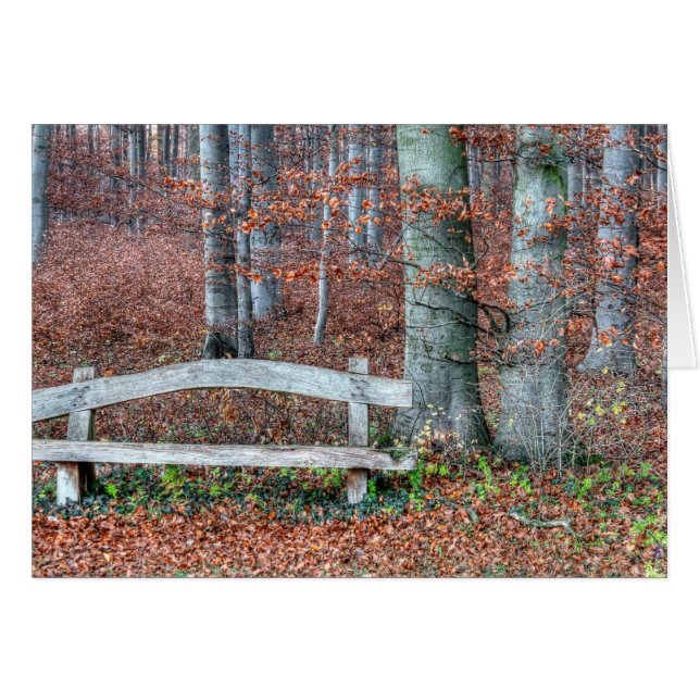 Banc de parc fait maison (Devant Horizontal)