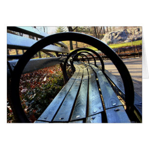 Banc de parc unique dans le Central Park, NYC