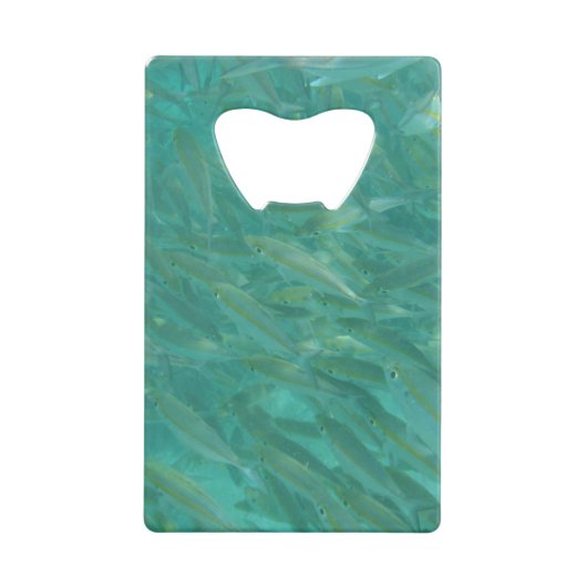 Banc des poissons (Devant)