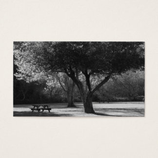Banc du parc et photo de l'arbre