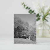 Banc sous trois cartes postales (Debout devant)