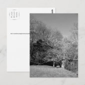 Banc sous trois cartes postales (Devant / Derrière)