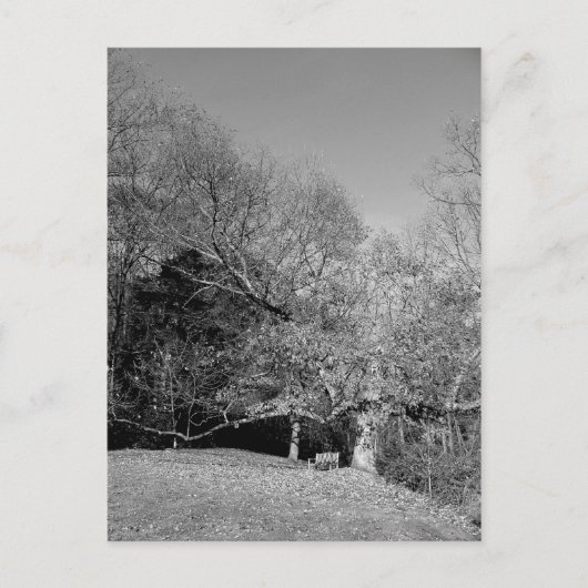 Banc sous trois cartes postales (Devant)