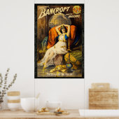 Bancroft: Prins van Magicians Weefsel Vintage 36 x Poster (Keuken)