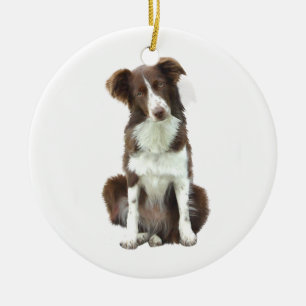 Band Collie (B) - bruin en wit Keramisch Ornament