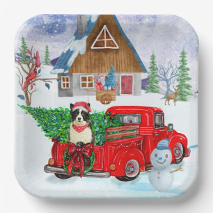 Band collie dog in kerstcadeau vrachtwagen sneeuw papieren bordje