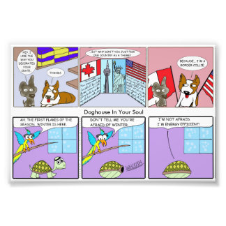 Band Collie / Energie-efficiënt Foto Afdruk