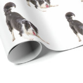 Band Collie op White Cadeaupapier (Rol Hoek)