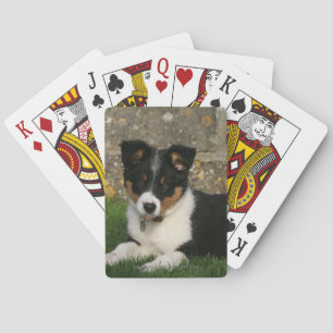 Band Collie Puppy met Leaf in Mouth Pokerkaarten