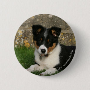Band Collie Puppy met Leaf in Mouth Ronde Button 5,7 Cm