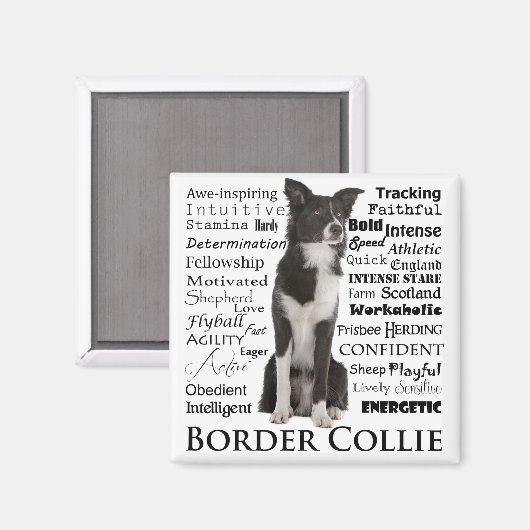 Band Collie Traits Magnet Magneet (Voorkant / Achterkant)