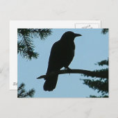 Band in de boom briefkaart (Voorkant / Achterkant)