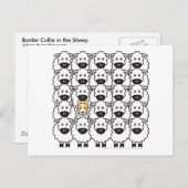 Band in de schapen briefkaart (Voorkant / Achterkant)