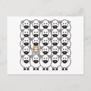 Band in de schapen briefkaart