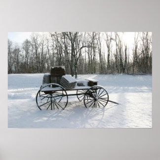 Band in de sneeuw poster