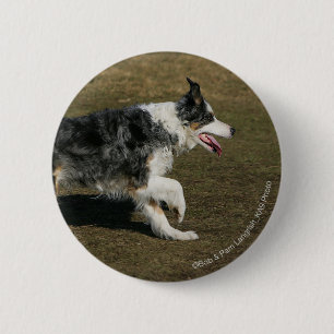 Band loopt 1 ronde button 5,7 cm