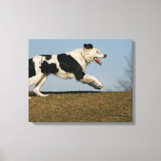Band loopt 2 canvas afdruk (Voorkant)