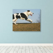 Band loopt 2 canvas afdruk (Insitu (Houten vloer))