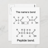 Band van de naam, peptidebinding briefkaart (Voorkant / Achterkant)