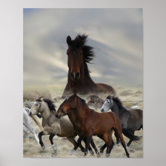 band van één poster (Voorkant)