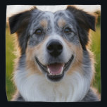 Bandana Ajouter une Personnaliser photo pour animaux domes<br><div class="desc">Ajouter Personnaliser Photo Animal,  Ajouter Photo Animal,  Ajouter Photo Chien,  Animaux de compagnie,  Animaux de compagnie,  Chien,  Personnaliser,  Personnaliser,  Photo,  Génération de contenu</div>