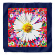 Baisson vive sur patchwork multicolore