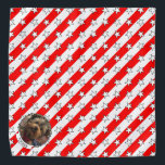 Bandana Cadre photo personnalisé USA American Flag Patriot<br><div class="desc">USA Photo Frame - Fun U.S.A. patriotique drapeau américain thème photo frame. Copyright © Angi Laframboise. Cadeaux mignons,  customisés,  personnalisés pour animaux de compagnie patriotiques.</div>