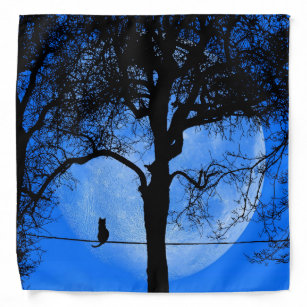 Bandana Chat sur une lune bleue fil