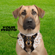 Bandana Chien Personnalisé Petit Chiot Bandana Bla