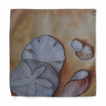 Les coquillages en bord de mer