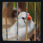 Bandana Oiseau blanc Zèbre Finch en cage<br><div class="desc">2023</div>