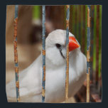 Bandana Oiseau blanc Zèbre Finch en cage<br><div class="desc">2023</div>