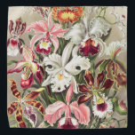 Bandana Orchidées, Orchidées Denusblumen par Ernst Haeckel<br><div class="desc">Orchidées,  Orchidées Denusblumen par Ernst Haeckel Bandana</div>