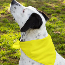 Simply Yellow Solid Color Customize